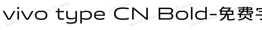 vivo type CN Bold字体转换